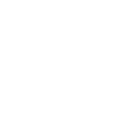 Kevin Kruse MD