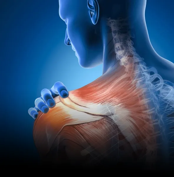 Shoulder Surgery Recovery